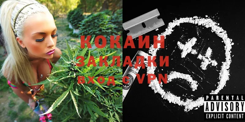 купить наркоту  Ясногорск  Cocaine FishScale 